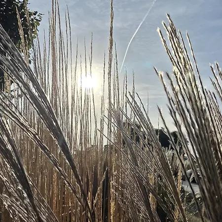 Apartmenthaus-usedom Famstopp Kajuete 8 -balkon-strandnah